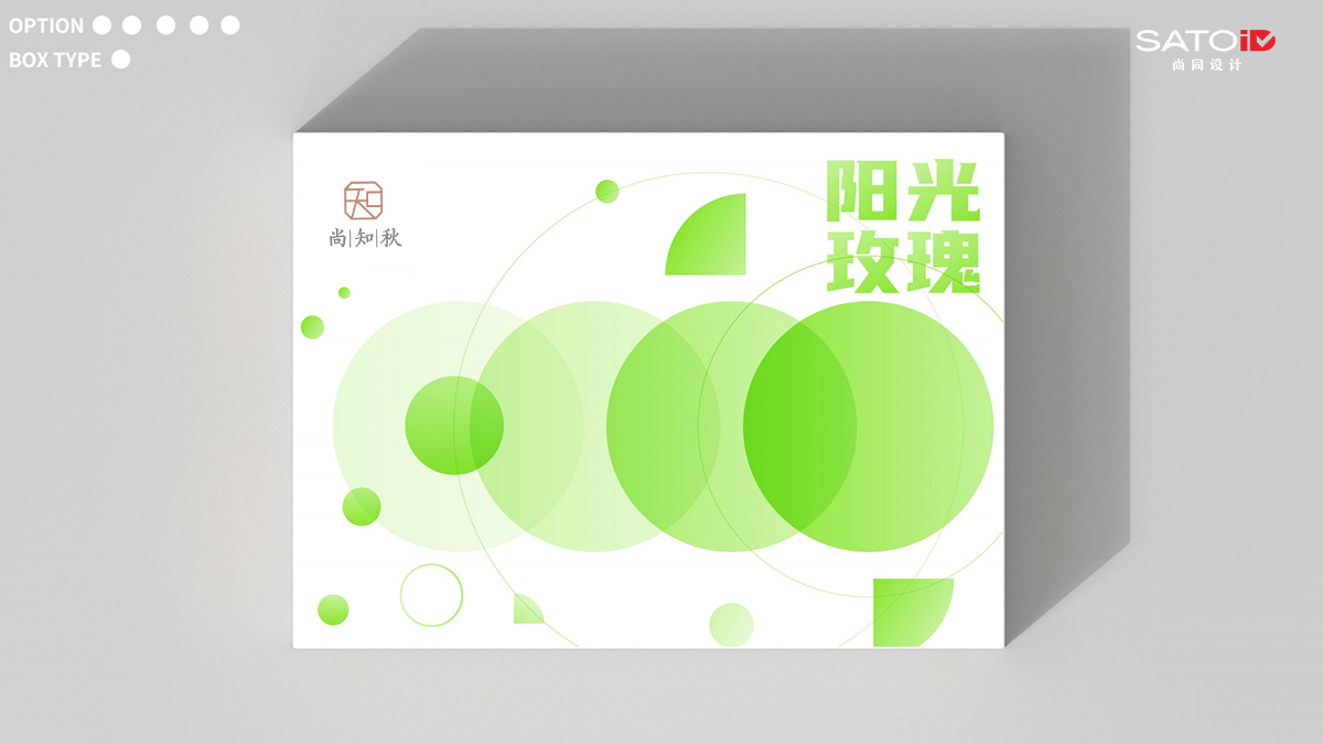 PACKING DESIGN包裝設(shè)計(jì)