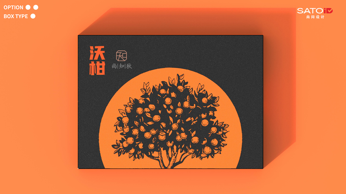 PACKING DESIGN包裝設(shè)計(jì)